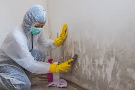  , AZ Mold Inspection Pros